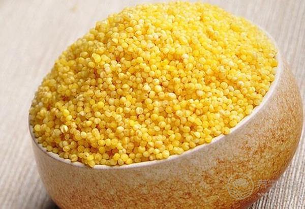 養胃食物大集合，吃到就是賺到了