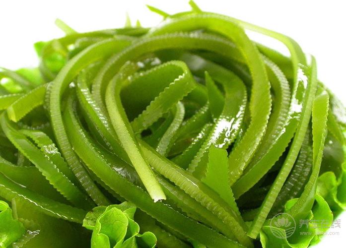 抽煙的人一定要看：4種清肺食物幫助保護您和家人的肺