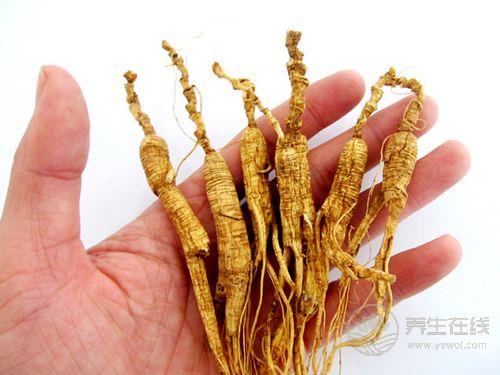 介紹野山參的吃法和禁忌，會吃更滋補(bǔ)