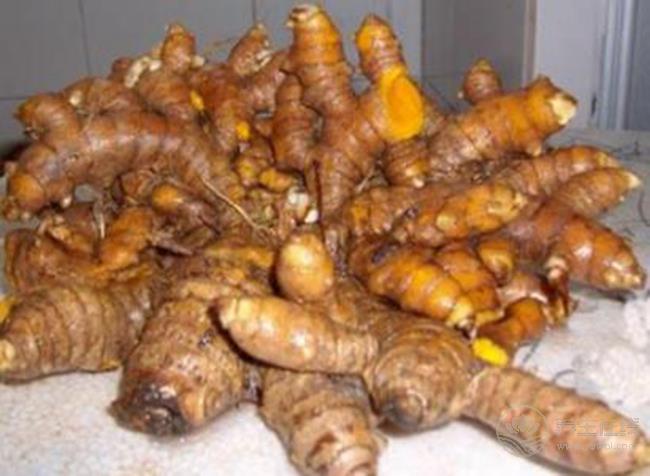 沒想到，生姜還有這么多品種，你都認齊了嗎