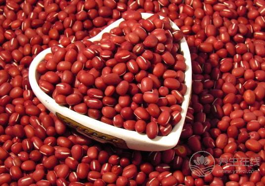 紅豆的好處那么多,難怪古代人稱它為“心之谷” 紅豆的好處那么多,難怪古代人稱它為“心之谷”
