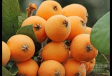 咽喉炎反復(fù)發(fā)作，這5種便宜好用的食物要多吃