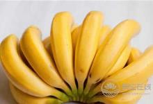 來月經(jīng)不能吃香蕉嗎?