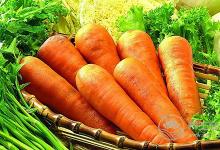 蘿卜是個好東西，但是不同的蘿卜有不同的功效，別吃錯了