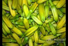 8種食物容易引起中毒，很常見(jiàn)，不懂的人要看看