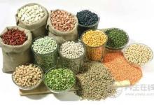 五谷加大棗勝過(guò)人參靈芝