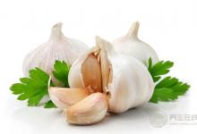 每次做菜放蒜米，相當于每一餐都在吃“神藥”