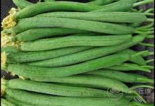 經常吃絲瓜，對身體有這些好處