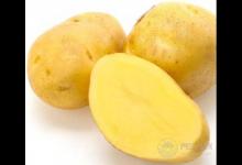 巧吃3種蔬菜，預防大小病，身體更健康　