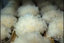 肝臟毒素多，可多吃這幾樣食物為肝排毒，菜市就有