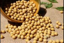 胃不好忌吃這7種食物