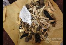 吃中藥養(yǎng)生，這樣吃藥效翻倍