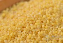 小米的5種好處，常吃小米好處多