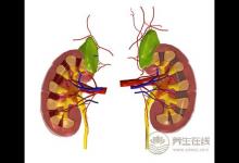 養腎護腎不讓腎氣外泄可多活三十年