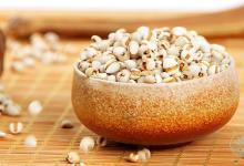 養胃的食物 五谷雜糧