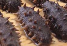 海參不能和什么一起吃？