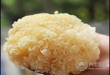 適合女性的食物，常吃能滋潤(rùn)肌膚有光澤