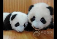 以為有黑眼圈就是睡眠不足？很多人都錯了