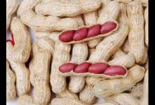 生吃花生米有什么好處？怎么挑選花生米？