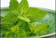 喉嚨不舒服，吃這4種食物有“奇效”