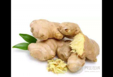 脾胃虛寒者注意，教你3種生姜的正確吃法，補身體常健康