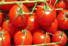 想要身體排毒，就常吃4種水果