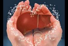 為了養肝都需要補充哪些營養