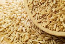 4種“換血食物”，每天吃一吃，血液越來越干凈