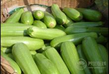 經常吃西葫蘆，有這些好處