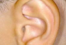 據說補腎不用吃藥，只要按摩耳朵即可