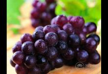 補(bǔ)血養(yǎng)顏就多吃這6種食物