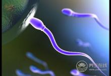 如何利用這些知識(shí)提高精子的質(zhì)與量