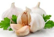 推薦能夠藥食兩用的食物