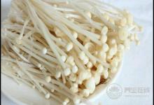 常吃金針菇，好處有這些，你懂嗎？