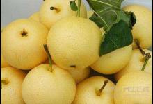 長痘痘，很毀“面子”？不妨多吃這些食物