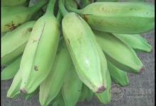 冬天吃香蕉必須要知道的5個禁忌