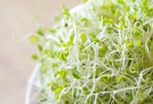 醫生提醒：高尿酸者，這5種食物再好吃都不能碰