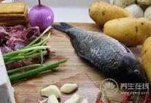 脾胃虛寒的人會發(fā)胖嗎?