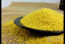 食療養生：食物調理脾胃小幫手