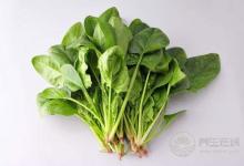 每天吃一點它，很難患上癌癥，別說沒告訴你哦！