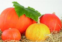 什么人不宜吃南瓜？