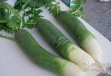 日常生活中常見的相克食物大全