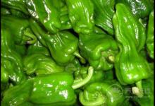 青椒營(yíng)養(yǎng)豐富，還能預(yù)防這3種疾病，看完后你還不吃？