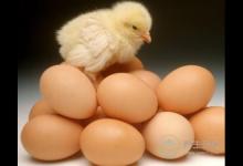 長命百歲真的好？未必！