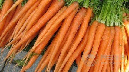 日常吃什么最養胃？多吃這3種食物，把胃調理好