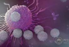 甜食是腫瘤的養(yǎng)料，癌細胞瘋長，癌癥很快就晚期了！