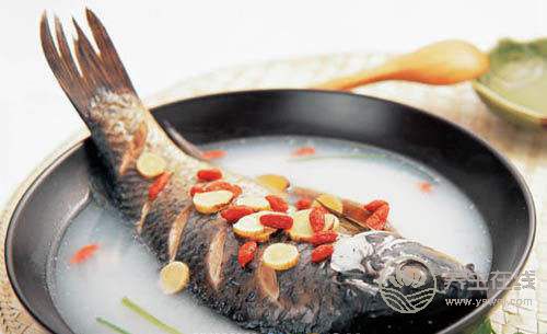 鯉魚的做法大全 鯉魚補血湯的補鈣功效 鯉魚的做法大全 鯉魚補血湯的補鈣功效