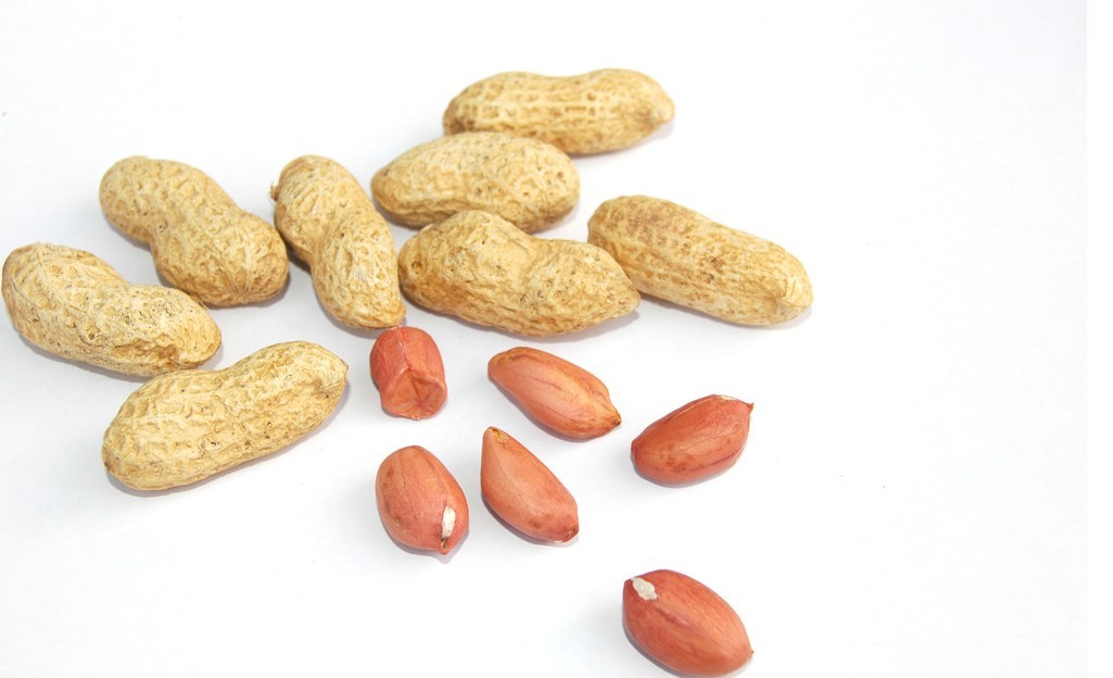 怎樣煮花生才能讓花生不容易變黑