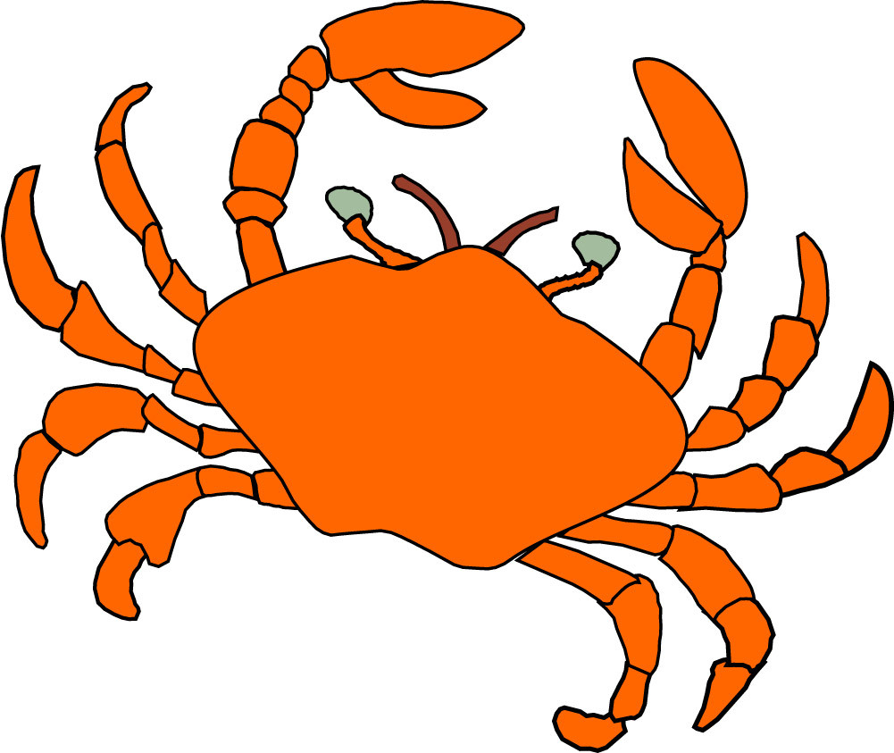 沒吃完的螃蟹應該怎么保存更新鮮