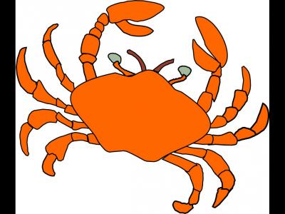 沒(méi)吃完的螃蟹應(yīng)該怎么保存更新鮮